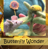 Butterfly Wonder
